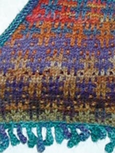 Coral Reef Detail