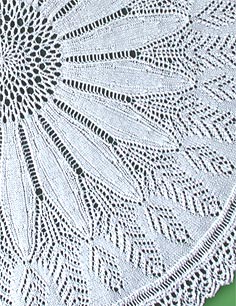 Daisy - Close-up