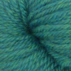 Q61287 - Blue Spruce
